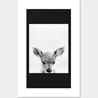 Baby deer Posters and Art